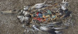 Read more about the article Nine Reasons why Plastics are regarded as the Bad Boys of Global Pollution