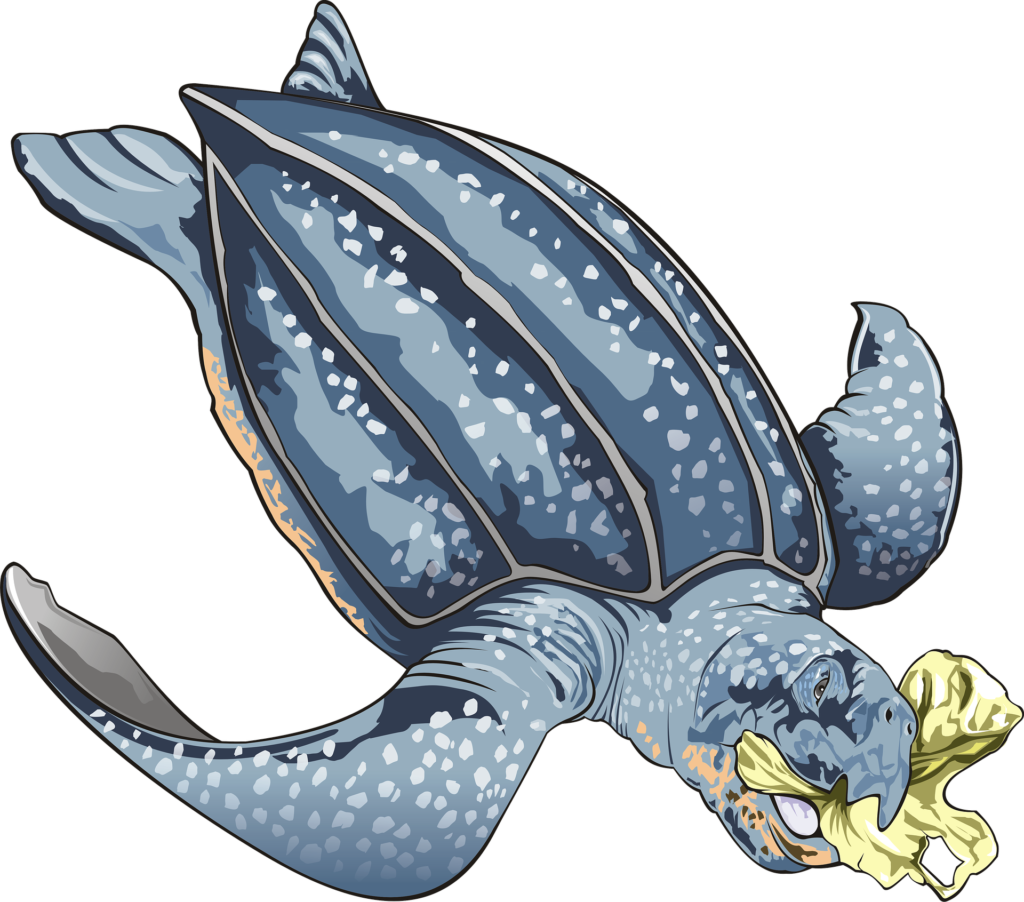 Plastic pollution is a problem