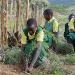 We focus on Tree Growing, not just planting!