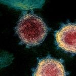 Examples of deadly zoonotic diseases