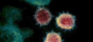 Read more about the article The Environmental Benefits of the Coronavirus (COVID 19)