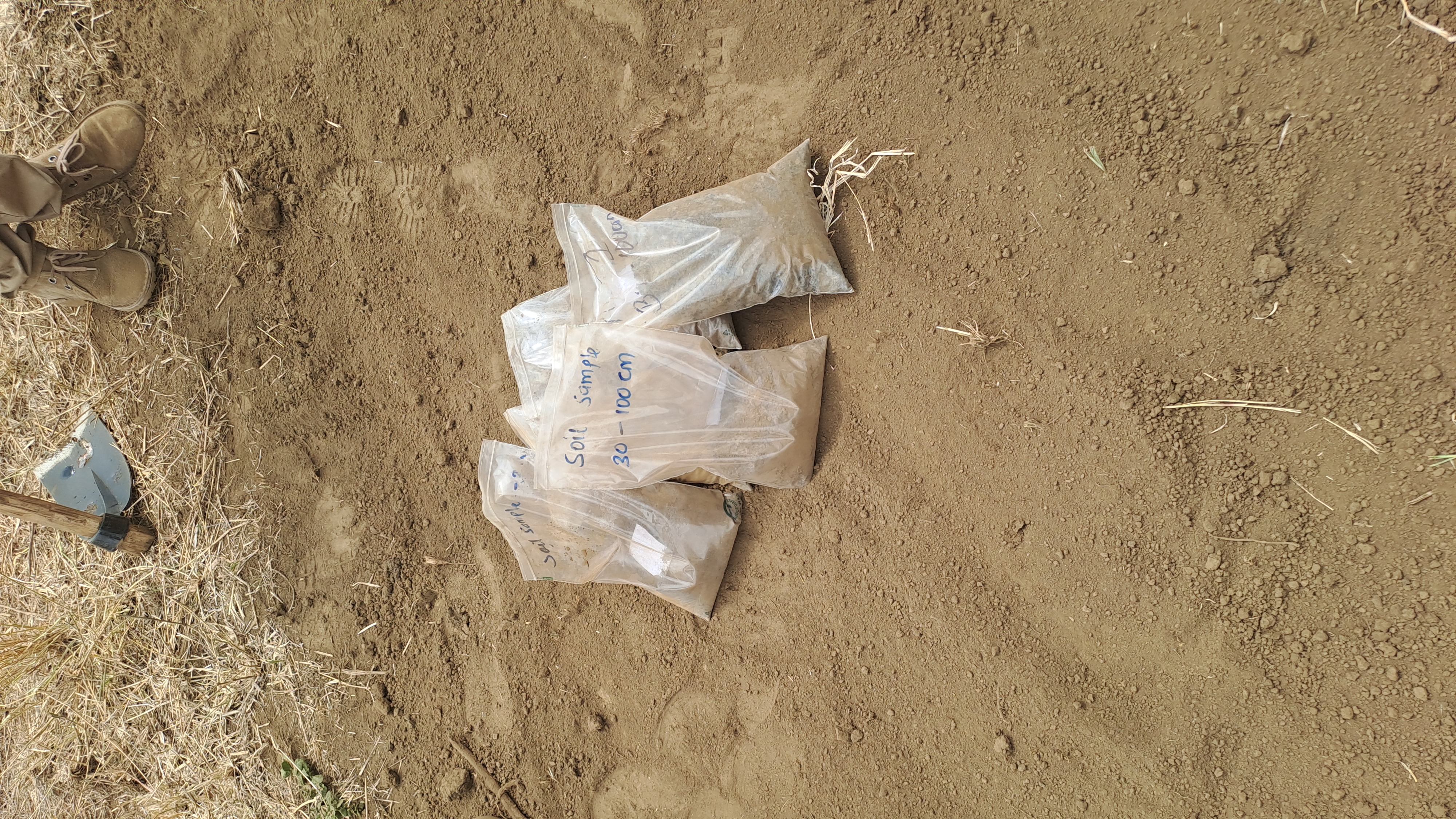 Read more about the article Concepts of Soil Organic Carbon (SOC) and SOM